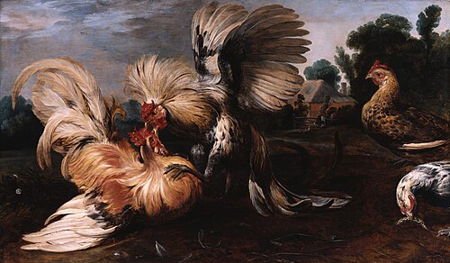 Cockfight, 1615, Frans Snyders
