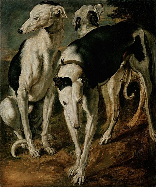 Three Greyhounds, 1612, Frans Snyders