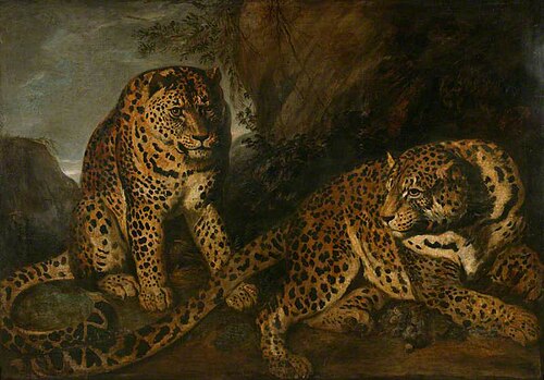 The Leopards, , Frans Snyders