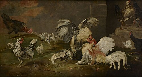 Cockfight in the poultry, 1650, Frans Snyders