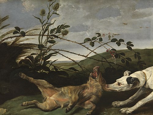 Marcassin saisi par un chien de chasse, 1620, Frans Snyders