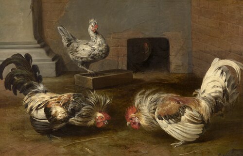 Fighting Cocks, , Frans Snyders