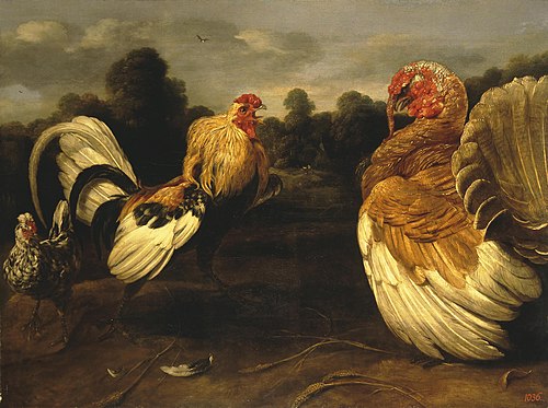 Fight of a Rooster and a Turkey Cock, 1650, Frans Snyders