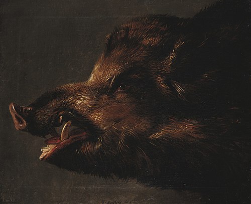 A Boar's Head, 1630, Frans Snyders