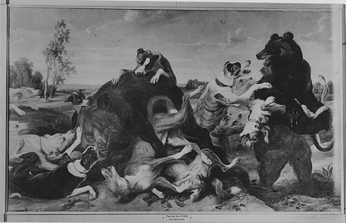bear hunt, 1618, Frans Snyders