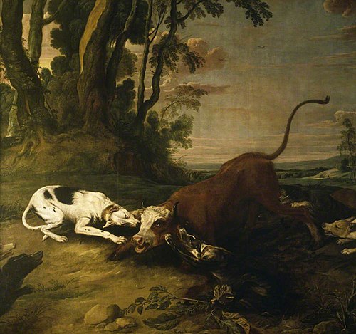 Hounds attacking a Bull, 1639, Frans Snyders