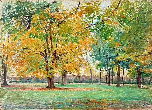 Paysage d'arbre, , Camille Martin