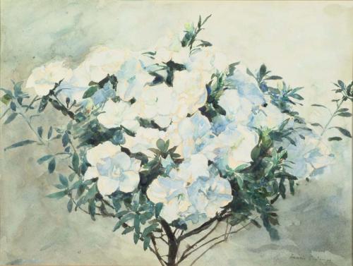 White Azaleas - Francis Edward James, , Francis Edward James