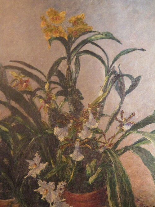 Orchidées jaunes, 1893, Gustave Caillebotte