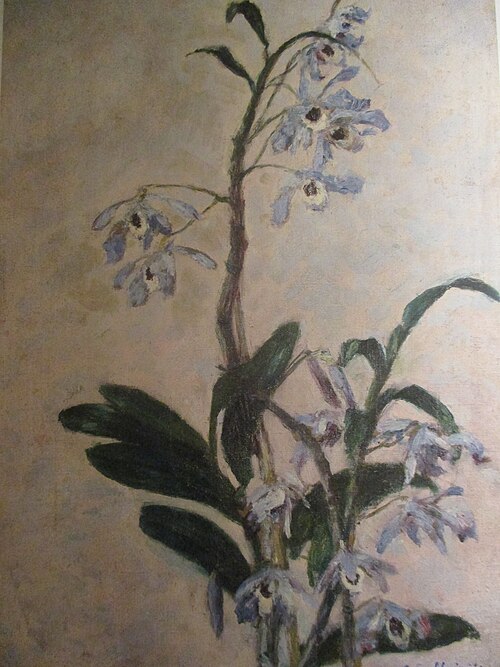 Les Orchidées, 1893, Gustave Caillebotte