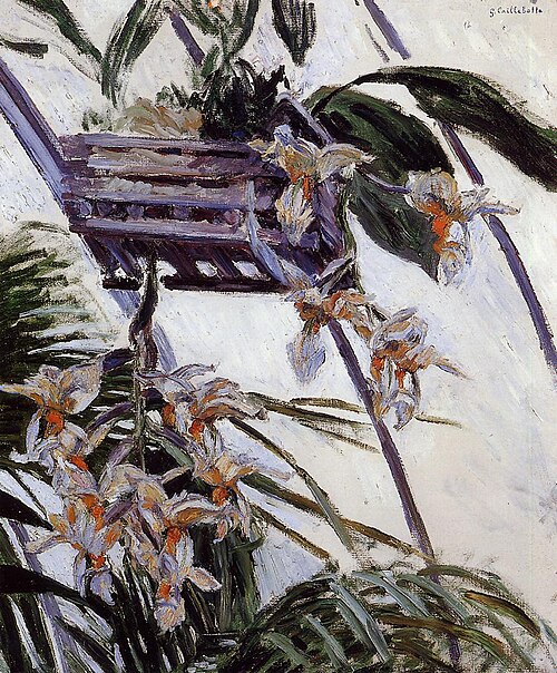Orchidées, , Gustave Caillebotte