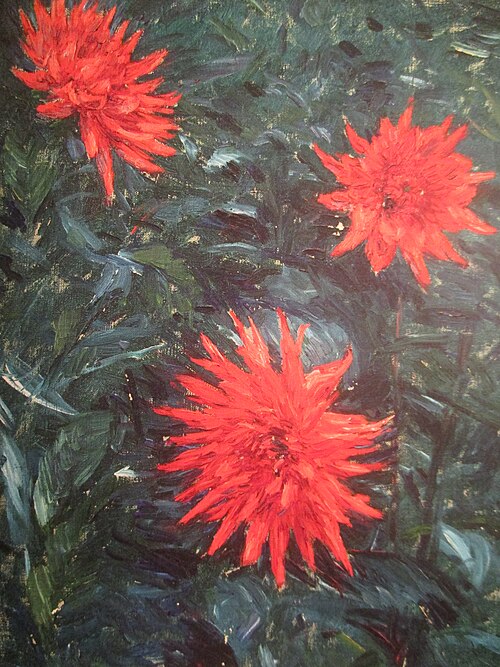 Dahlias cactus rouges, 1892, Gustave Caillebotte