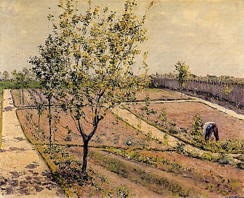 Le jardin potager, Petit Gennevilliers, 1882, Gustave Caillebotte
