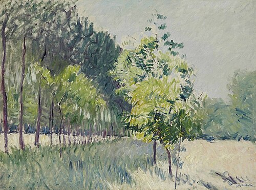 Allée bordée d'arbres, , Gustave Caillebotte