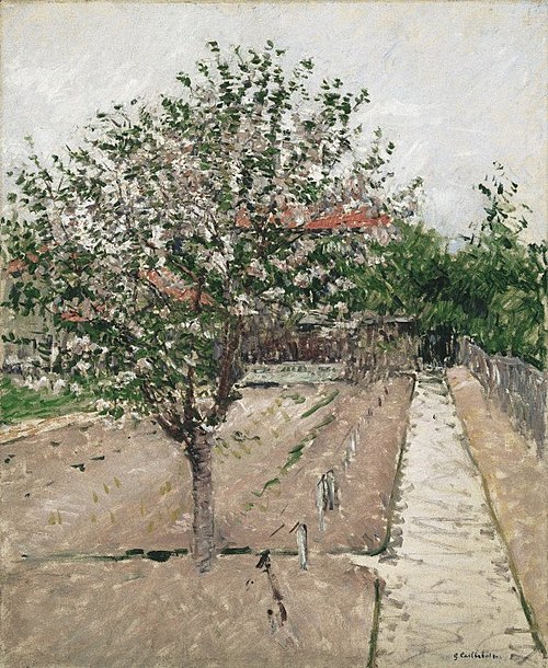 Pommier en fleurs, 1885, Gustave Caillebotte