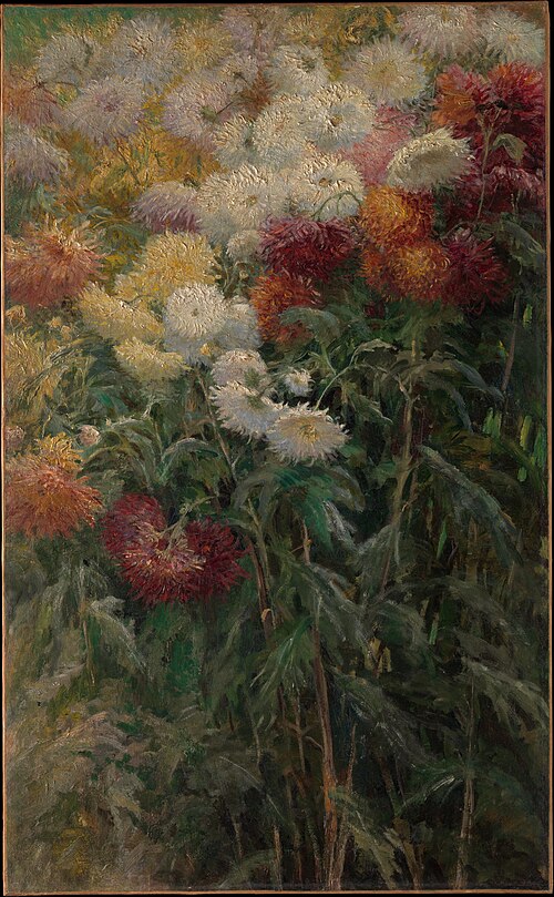 Chrysanthemums in the Garden at Petit Gennevilliers, 1893, Gustave Caillebotte