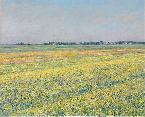 The plain of Gennevilliers, yellow fields, 1884, Gustave Caillebotte