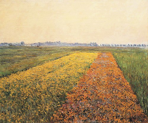 La plaine de Gennevilliers, Champs jaune, 1884, Gustave Caillebotte