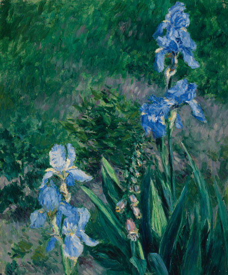 Iris bleus, jardin du Petit Gennevilliers, 1892, Gustave Caillebotte