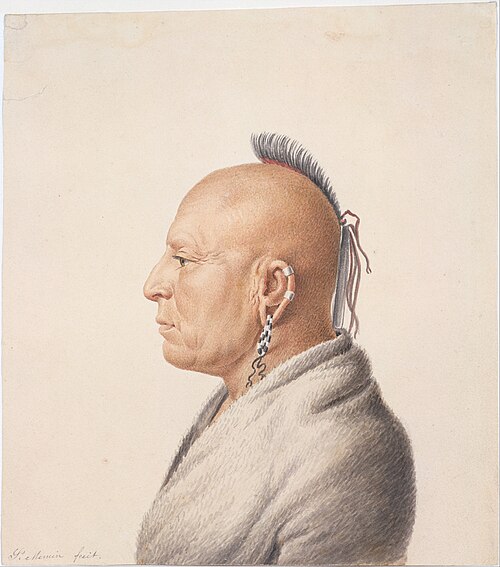 Osage Warrior, 1850, Charles Balthazar Julien Févret de Saint-Memin