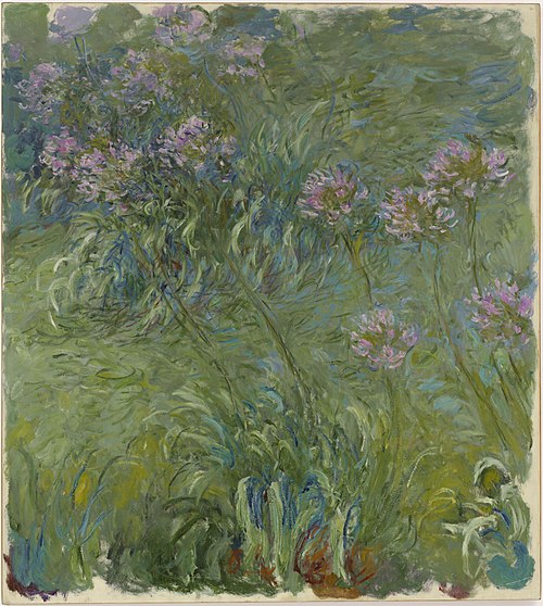 Agapanthus, 1914, Claude Monet