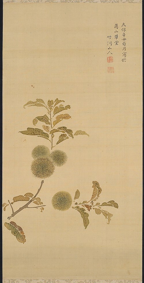 Chestnuts, 1841, Chikutō Nakabayashi