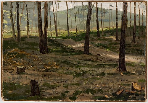 Landscape from Rath, 1880, Victor Westerholm