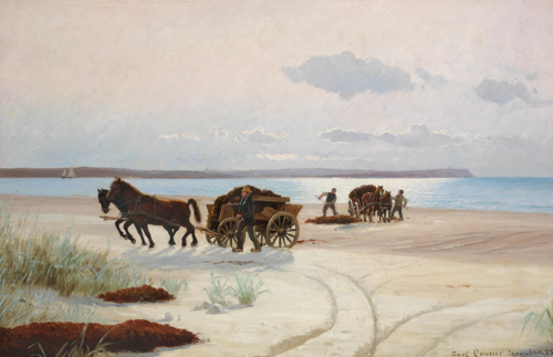Fishermen loading seaweed on horsecarts., 1885, Carl Locher