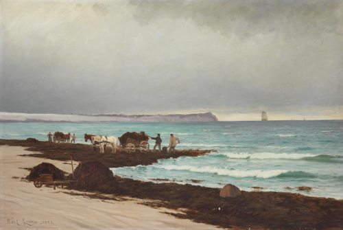 Collecting seaweed on the beach at Hornbæk., 1882, Carl Locher