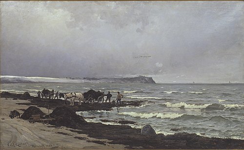 Der læsses tang ved Hornbæk Strand, 1882, Carl Locher