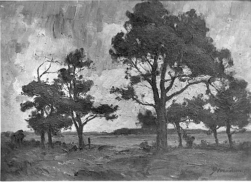 Föhrengruppe, 1914, Franz Horadam