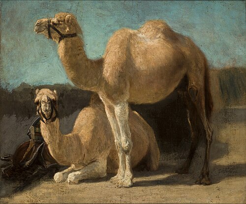 Two Camels, 1853, Henryk Rodakowski