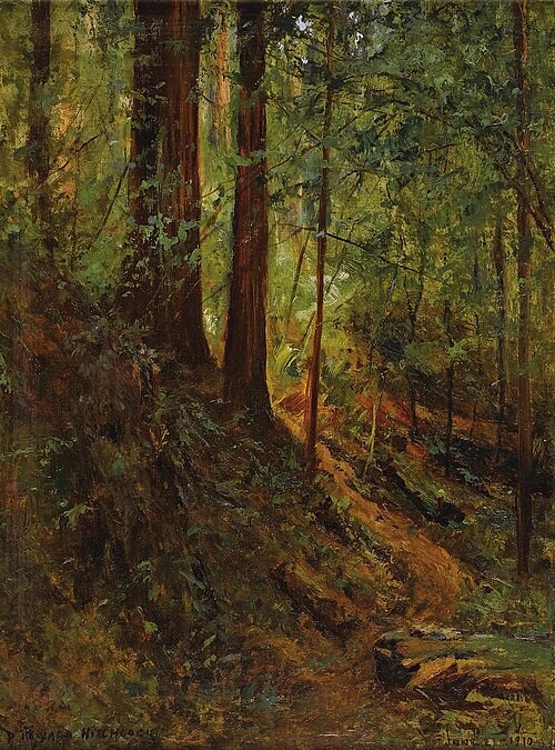 Forest Scene, 1910, David Howard Hitchcock
