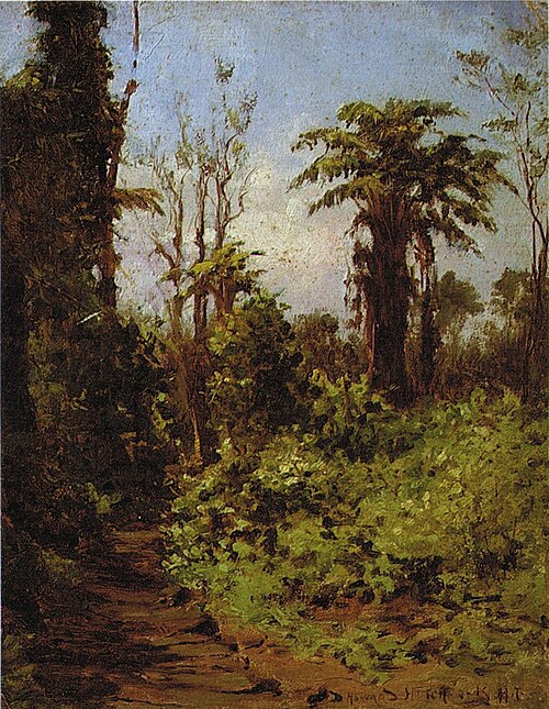 Path of Pohakuloa, , David Howard Hitchcock