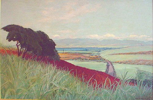 Pearl Harbor and Ewa Beach from Red Hill, 1923, David Howard Hitchcock