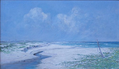 The Beach at Kamehama Nui, 1914, D. Howard Hitchcock