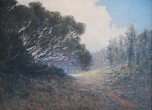 Trees, Kokee, Kauai, 1913, D. Howard Hitchcock