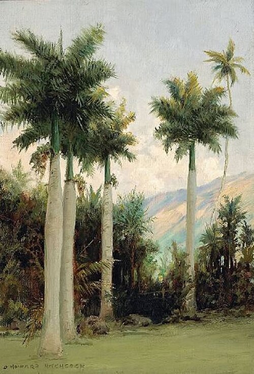 Royal Palms at Moanalua, near Honolulu, , D. Howard Hitchcock