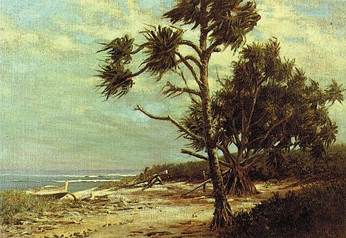 Canoe and Hala Tree, 1900, D. Howard Hitchcock