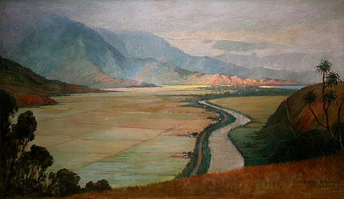 Hanalei Valley, 1925, D. Howard Hitchcock