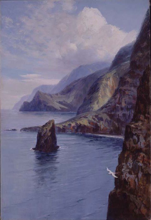 Molokai Bluffs, Hawaii, 1912, D. Howard Hitchcock