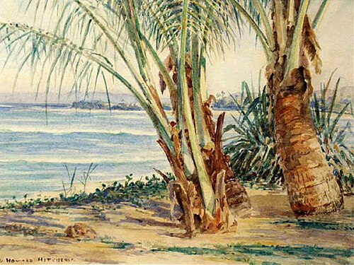 Untitled, , D. Howard Hitchcock