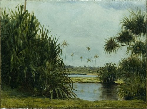 Hilo Bay, 1886, D. Howard Hitchcock
