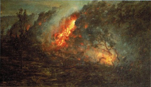 Lava Flow Burning Trees, 1897, D. Howard Hitchcock
