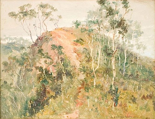 Volcano, Hawaii, , D. Howard Hitchcock