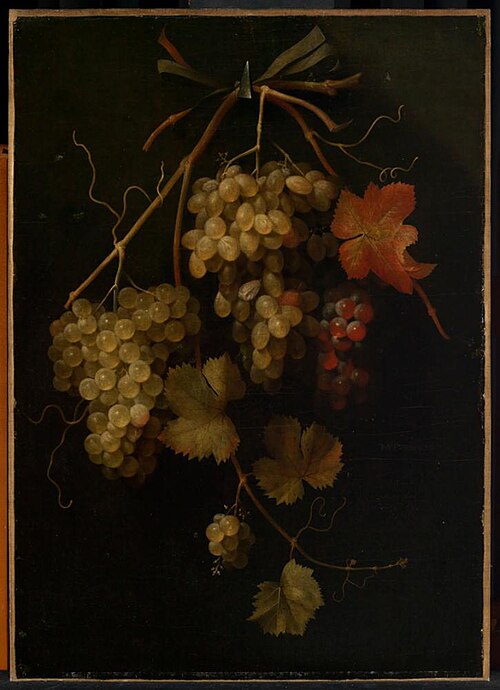 Garland of  grapes, 1663, Frans van Everbroeck