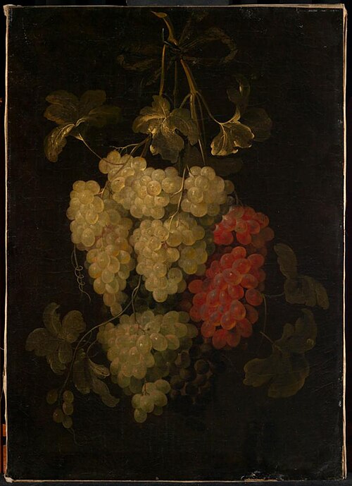 Garland of grapes, 1660, Frans van Everbroeck