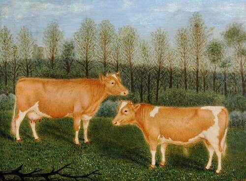 Guernsey Cattle, 'Unity' and 'Souvenir', 1889, Denys Corbet