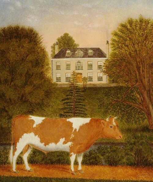Guernsey Bull in front of Manoir de Pierre Percee, , Denys Corbet