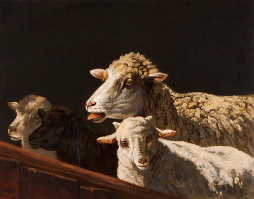 Ovelhas, 1872, João Marques de Oliveira